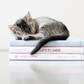 Художник Оуэн Манди знает, где живет твой кот