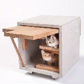 Архитекторы придумали, как спасти бездомных кошек