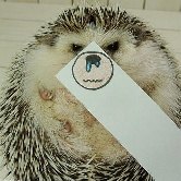 Ежик Marutaro примеряет разные маски