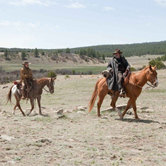 Железная хватка