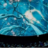 В Новосибирске пройдет фестиваль полнокупольных фильмов