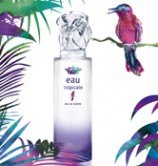 Sisley представили новый аромат