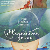 Лори Нелсон Спилман «Жизненный план»