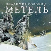 Владимир Сорокин: «Метель»