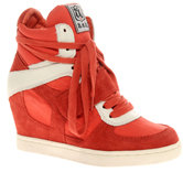 Идеальная пара