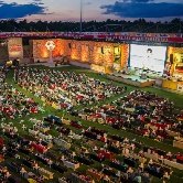 Немецкие фанаты превратили футбольное поле в огромную гостиную