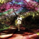 Sally Seltmann – Hey Daydreamer