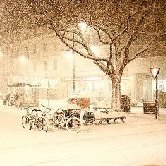 Московский велопрокат будет работать зимой