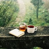 Более 700 человек будут читать «Анну Каренину» онлайн