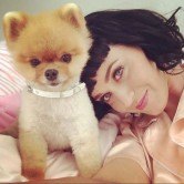 Кэти Перри отстригла челку