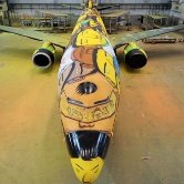 Художники расписали самолет бразильской сборной