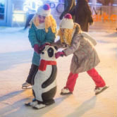 Открытие катков в Московских парках