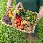 Австрийские музыканты создали «овощной» оркестр