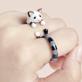 В сказку попала