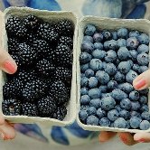 Фрукты и ягоды защищают от ультрафиолетового излучения