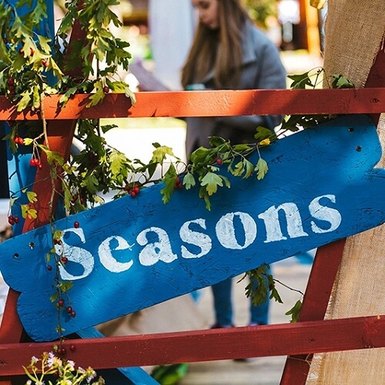 Дизайн-субботник команды Seasons Project