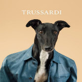 Собаки - герои рекламы Trussardi