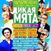 В «Этномире» прошел музыкальный фестиваль «Дикая мята»