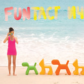 Funтастическое лето
