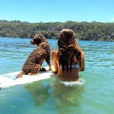 В США прошел ежегодный чемпионат по серфингу для собак