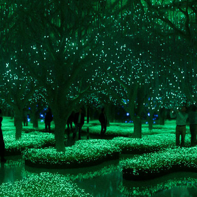 Московский Futurion пришел в Санкт-Петербург