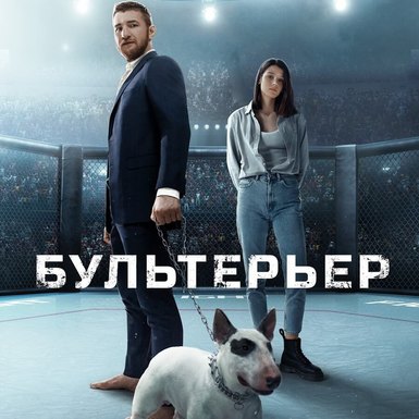 Спортивная драма «Бультерьер»