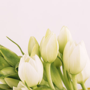 Молодо-зелено: бьюти-новинки марта