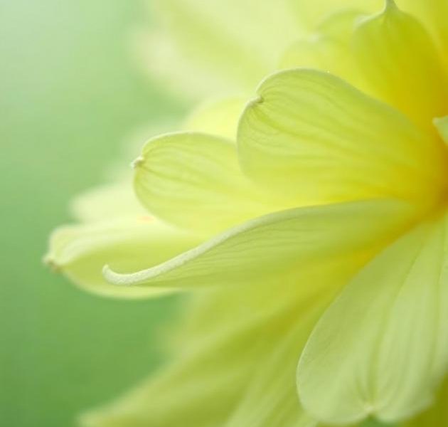 Молодо-зелено: бьюти-новинки марта