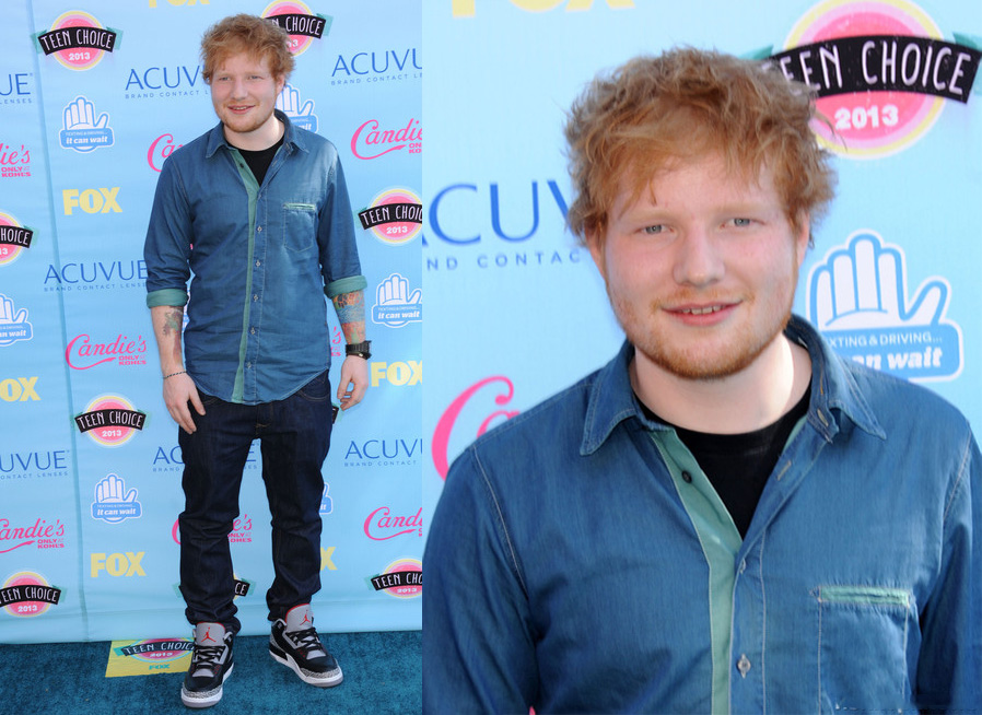 teen-choise-awards-201314.jpg